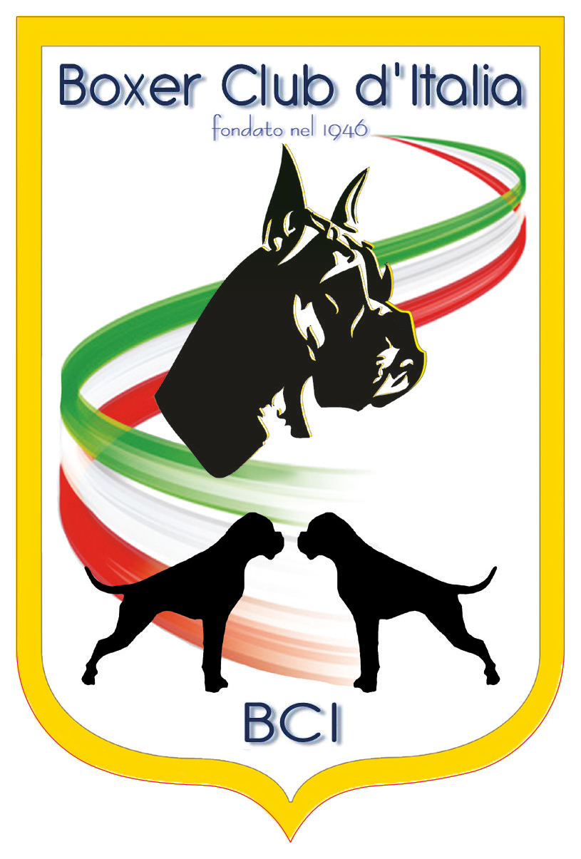 Logo BCI